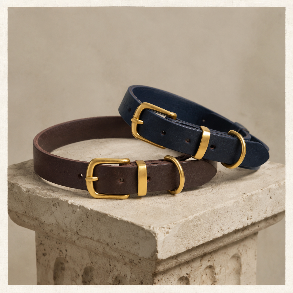 Shop Collars