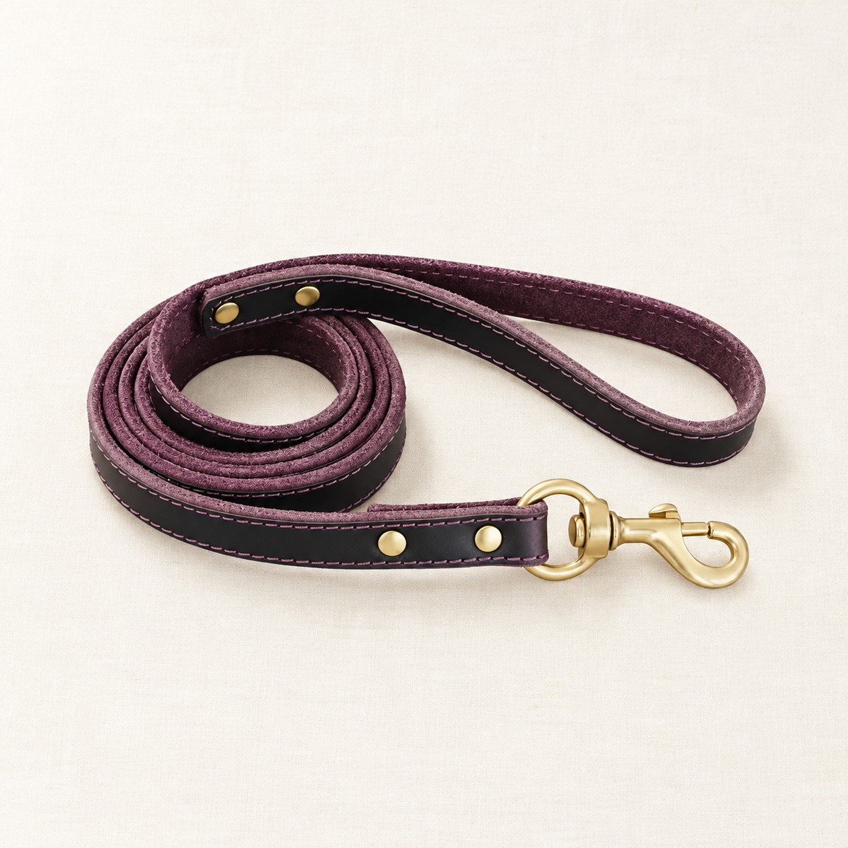 The Argus Nova Classic Leather Leash