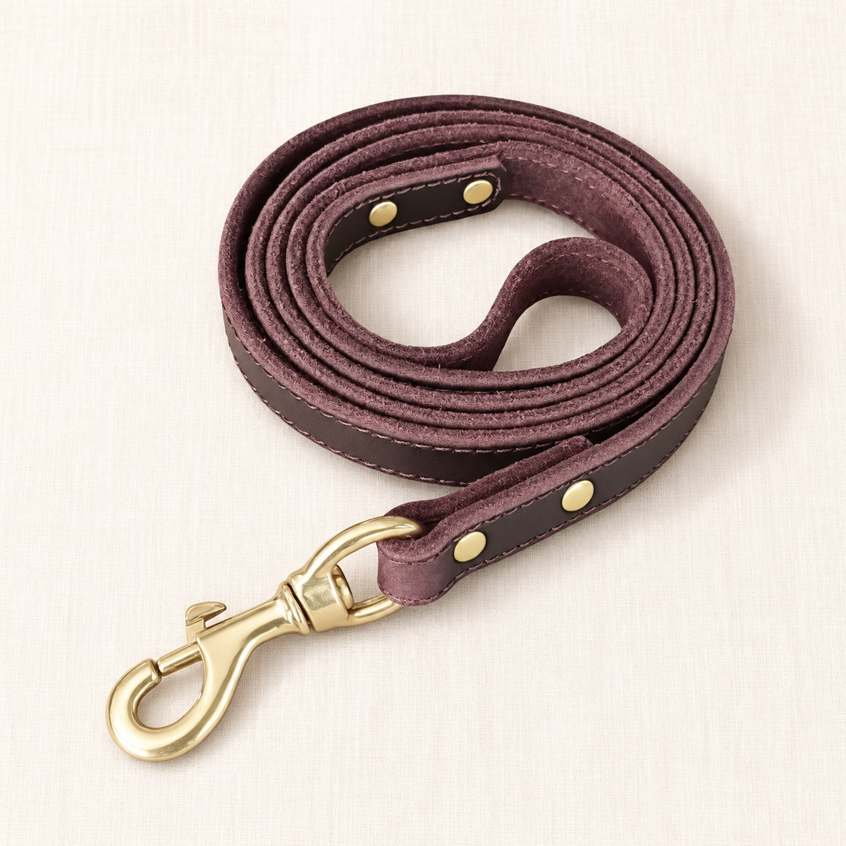 The Argus Nova Classic Leather Leash