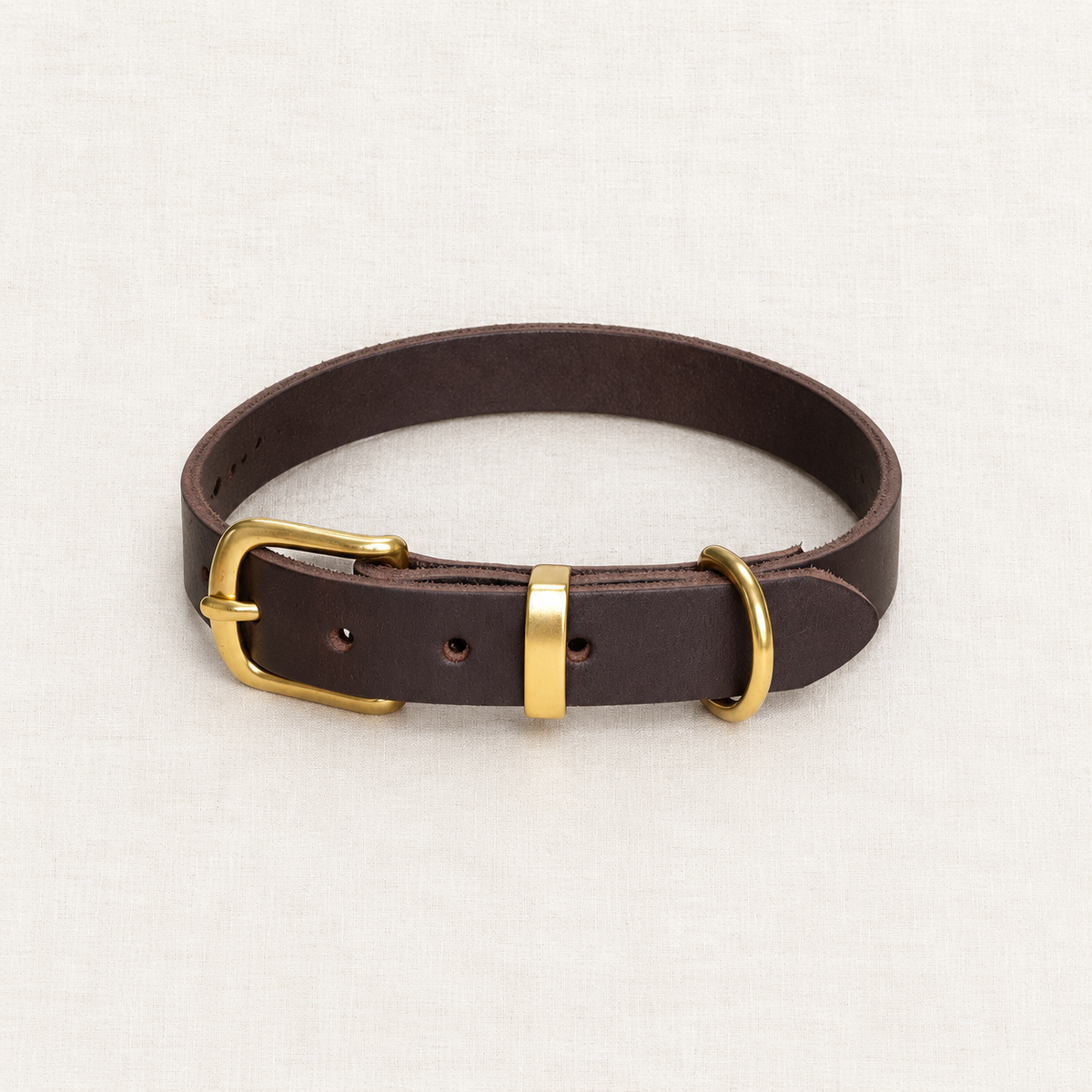 The Argus Nova Leather Collar